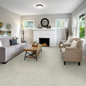 Living room carpet flooring | Floor Systems