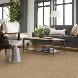 Living room carpet flooring | Floor Systems